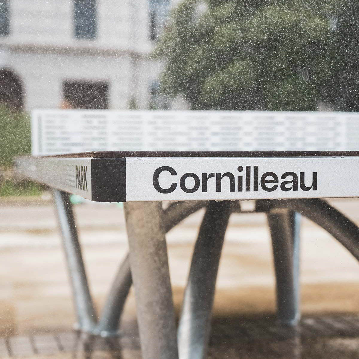 Park Outdoor Table