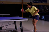 Sport 500 Indoor Table