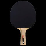 Sport 100 paddle