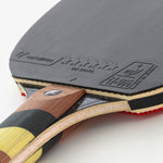 EXCELL 3000 CARBON